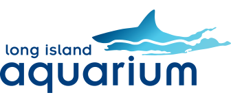 Long Island Aquarium | Welcome to the Long Island Aquarium