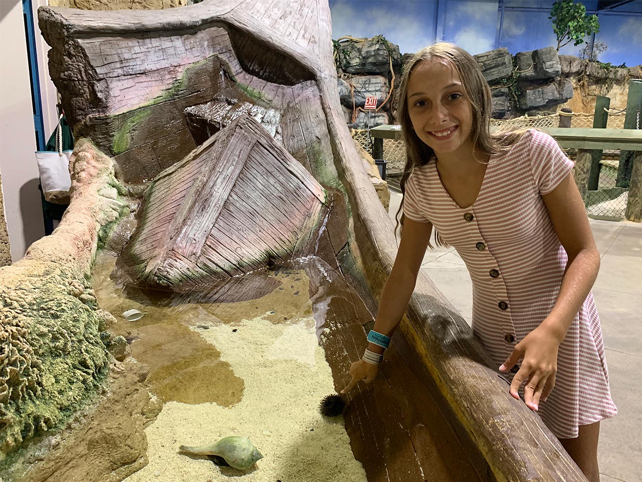 Touch Tank at LIA