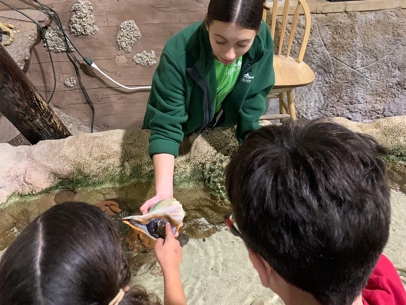 Touch Tank at LIA