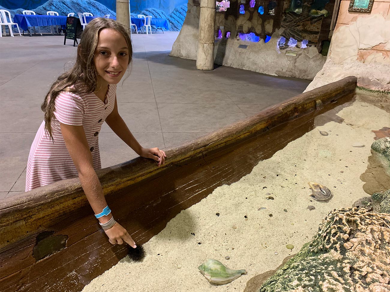 Touch Tank at LIA