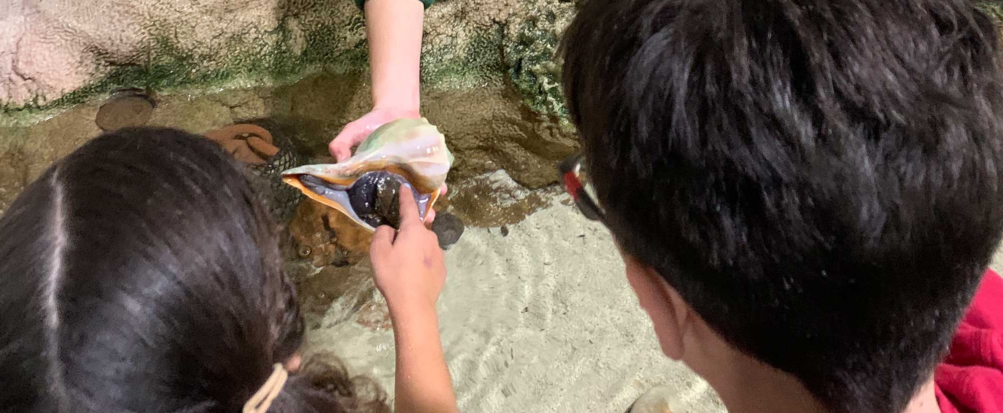 Touch Tank Exhibit