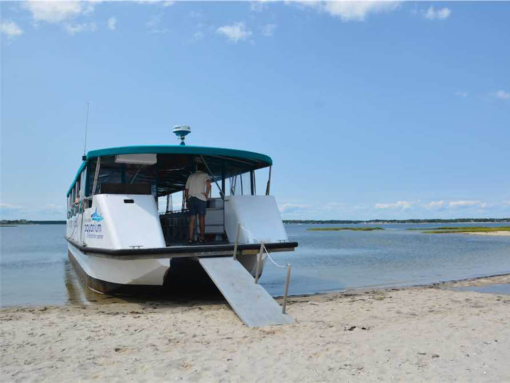 Tour Boat