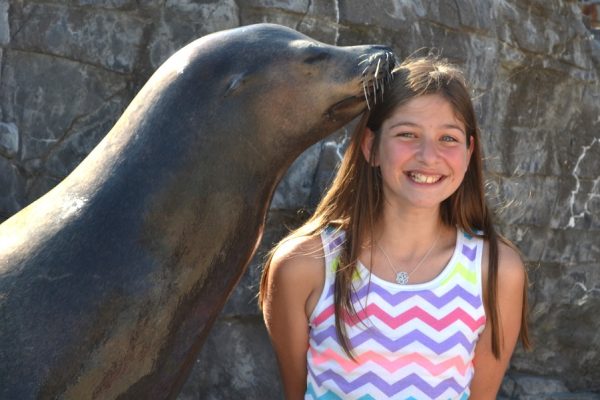 Sea Lion Selfie