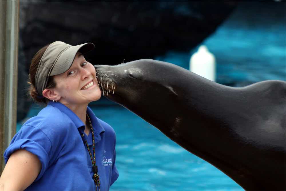 Sea Lion Show