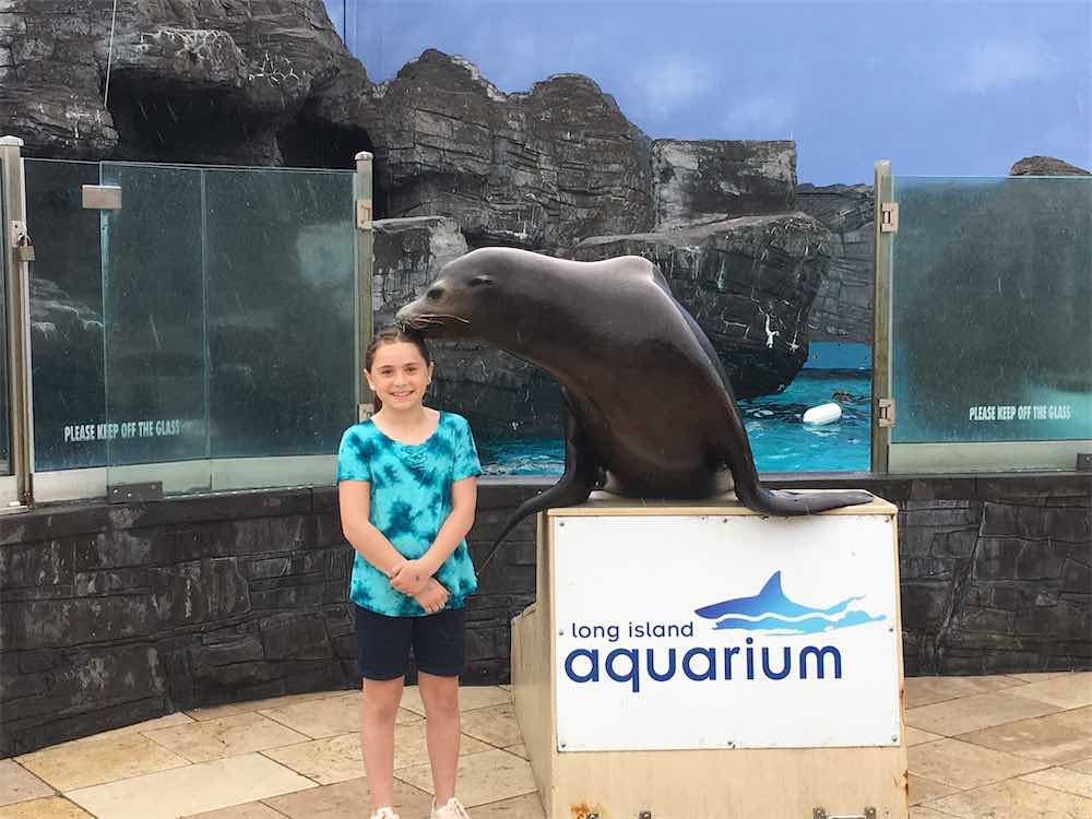 Sea Lion Encounter