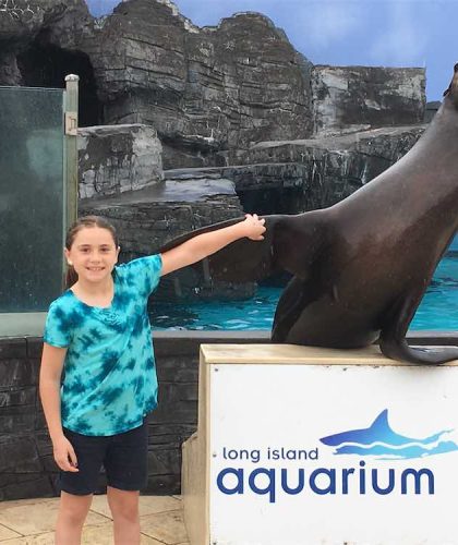 Sea Lion Encounter