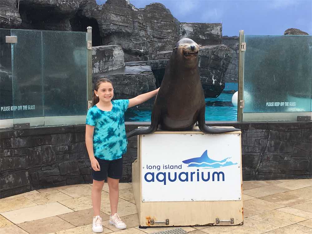 Sea Lion Encounter