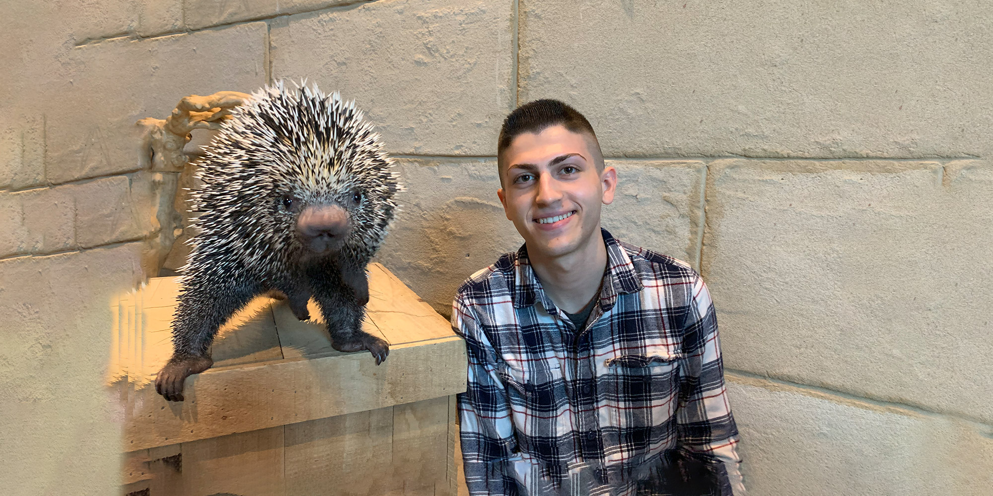 Boy and Porcupine