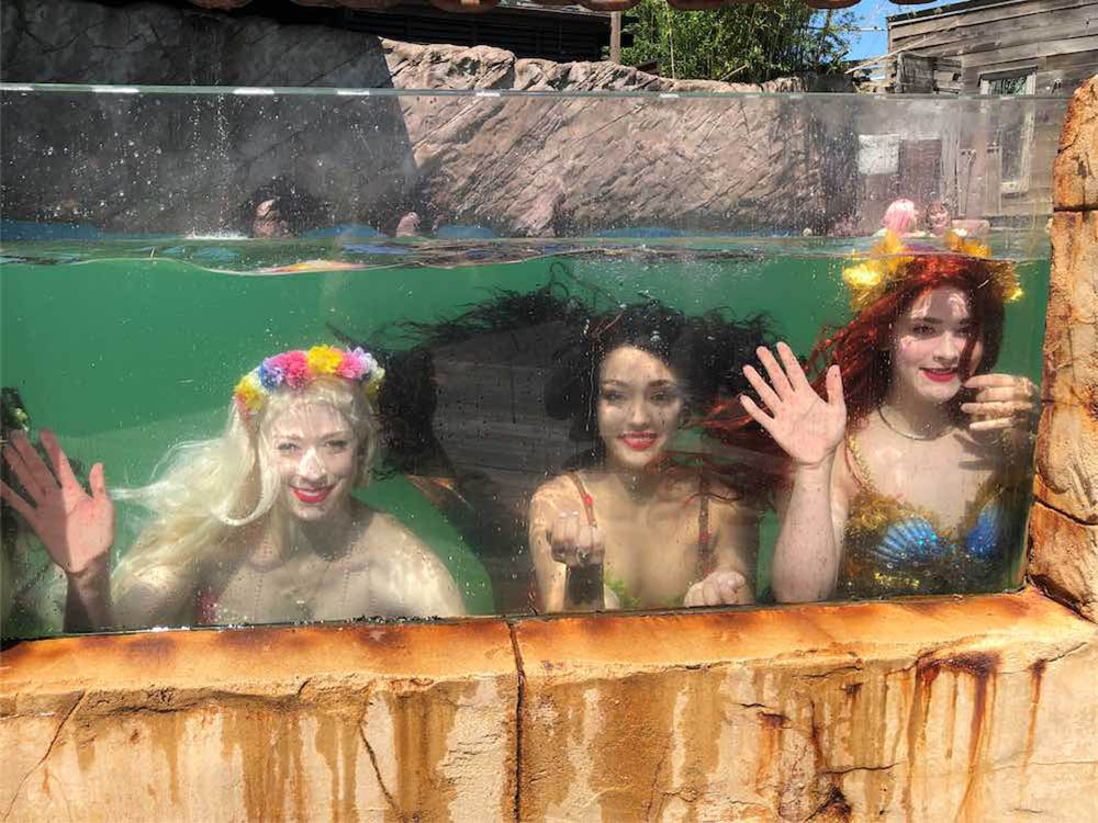 Swim With Mermaids