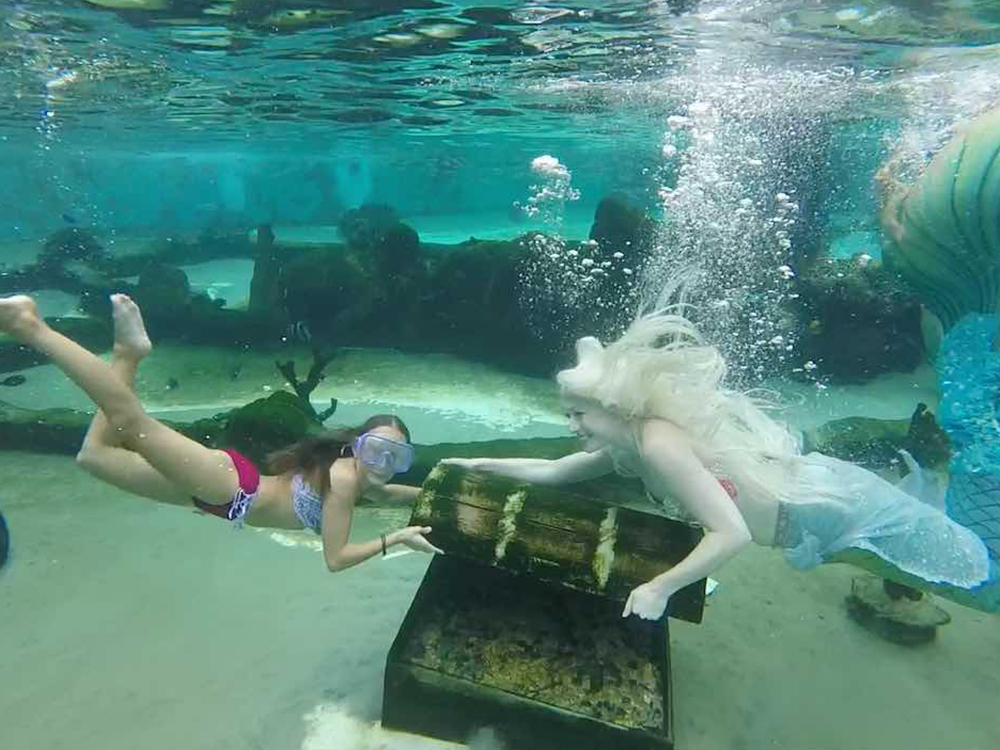 Swim With Mermaids