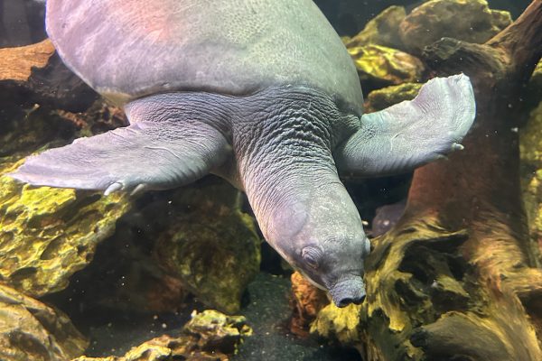 Rainforest Exhibit - Long Island Aquarium