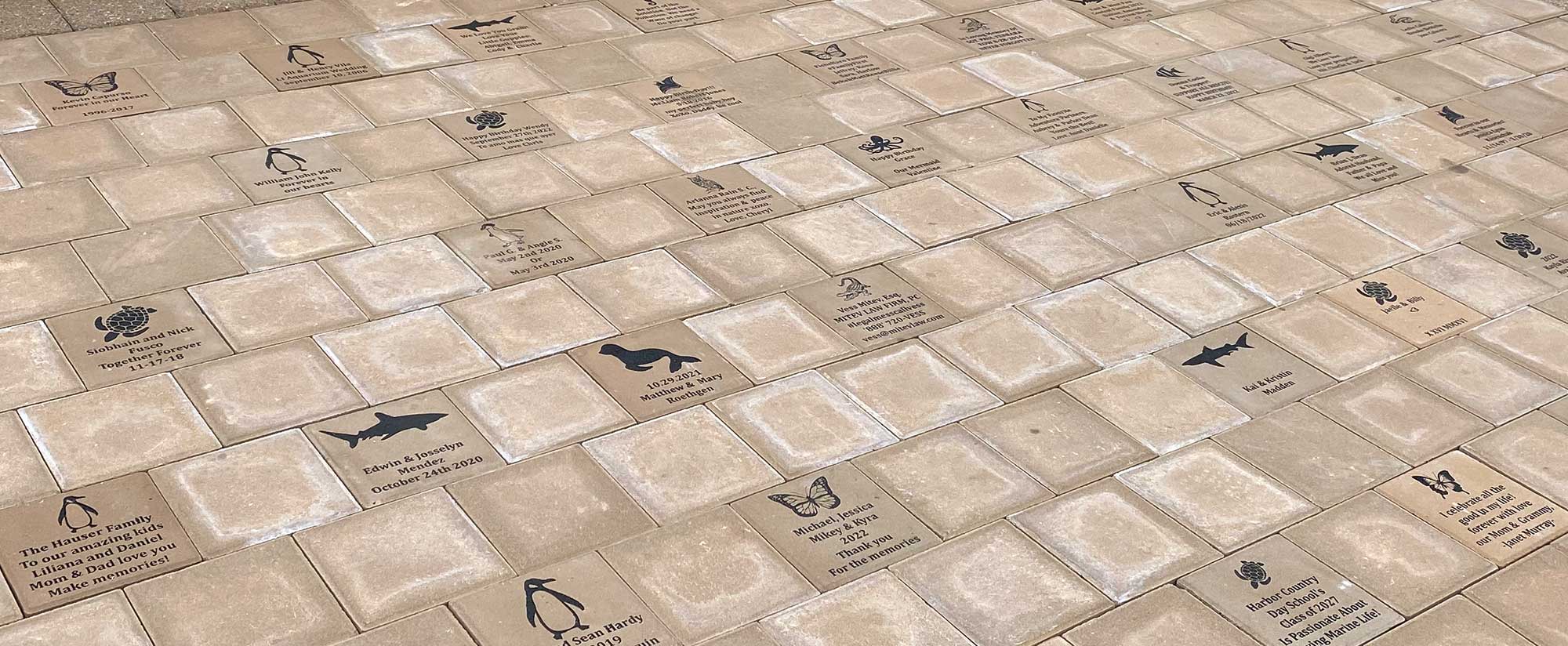 Custom Paver Bricks at LIA