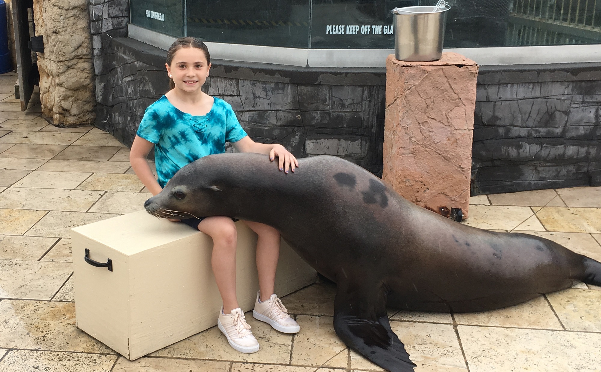 Girl at Sea Lion Encounter