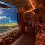 Set tables within shark tunnel
