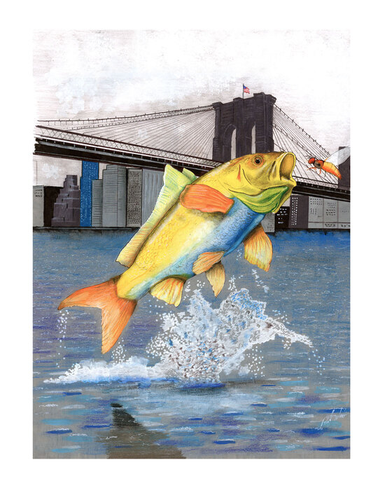 Brooklyn Fish Honorable Mention Paul Walsh