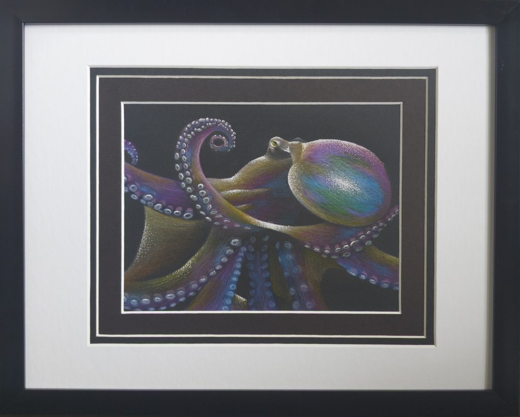 Octopus in Color Works on Paper 1st Place Alexandra Guma