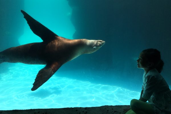 Then_Alana Wong