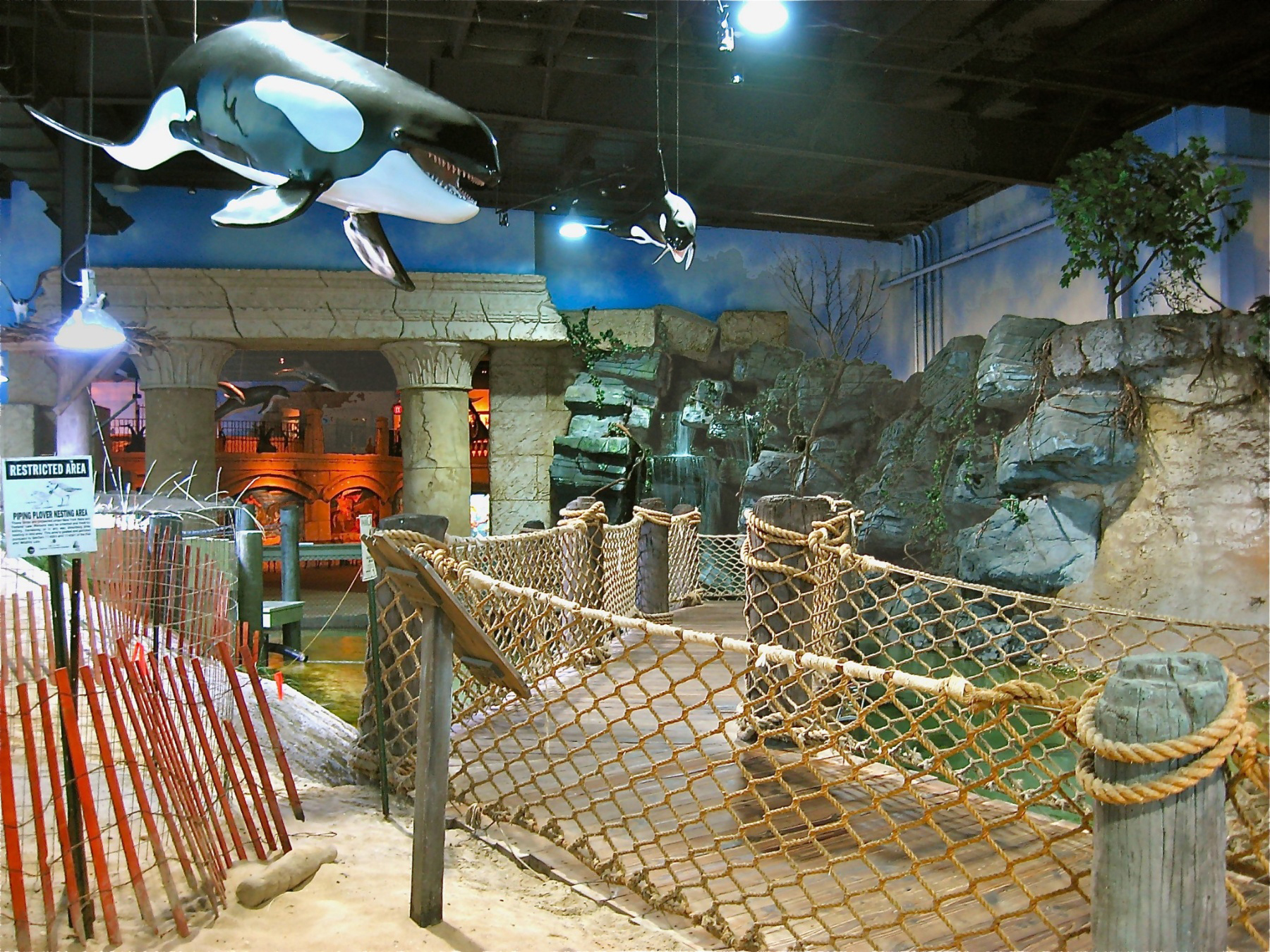 Overview of the aquarium