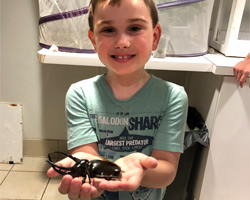 Bug Encounter Program