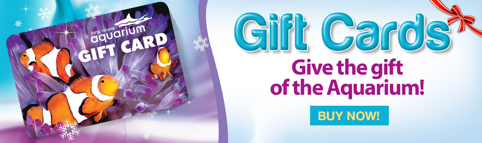 shark tank gift card rescue shark tank gift card rescue