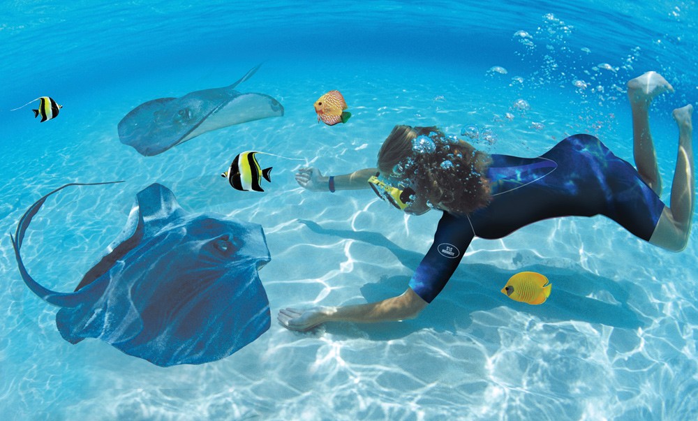Pirate Snorkel Adventure - Swim with the stingrays