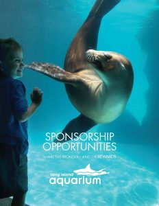 Sponsorship brochure cover 2022
