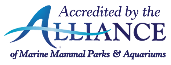 AMMPA accreditation logo