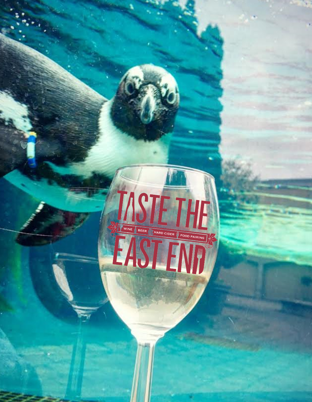 penguin with taste wine glass