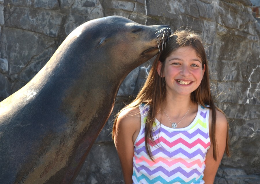 Sea Lion Selfie