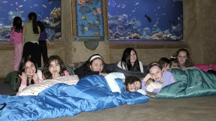 sleep with the fishes